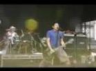 Zebrahead