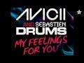 Avicii & Sebastien Drums
