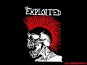 Exploited (The)